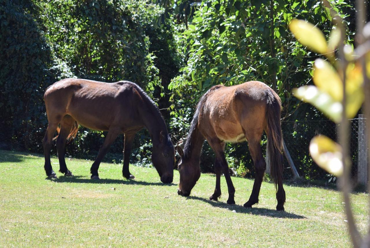 Pousada Appaloosa Águas de Lindóia Kültér fotó